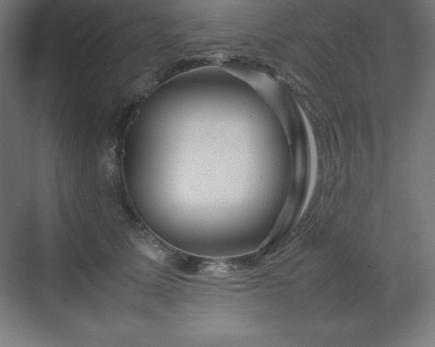 X0000070210611200606021257