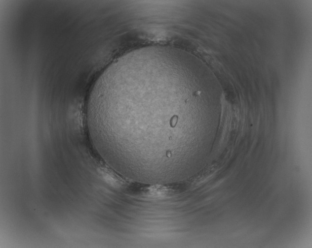 X0000070210612200606021257