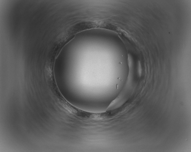 X0000070210613200606021257