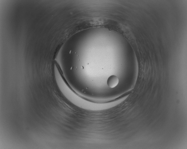 X0000070210614200606021257