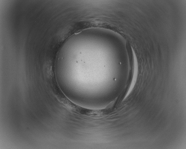 X0000070210615200606021257