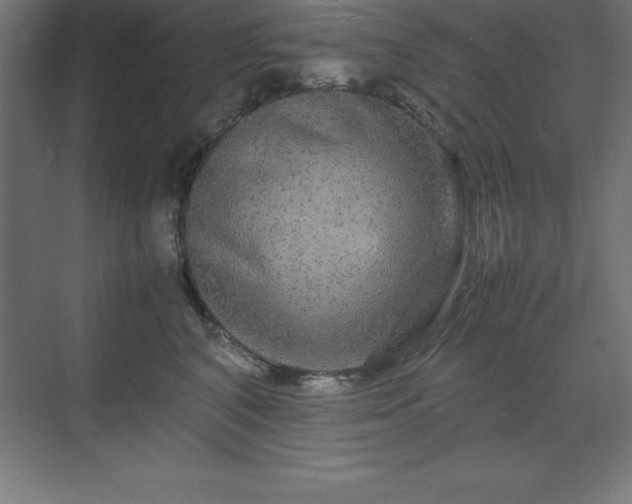 X0000070210616200606021257