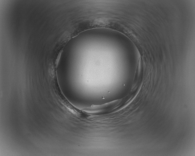 X0000070210617200606021257