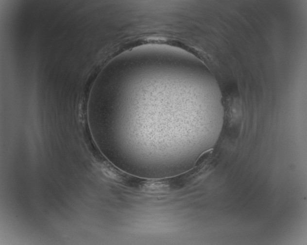 X0000070210619200606021257