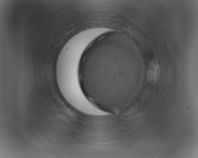 X0000070210620200606021257