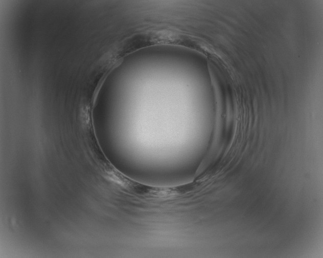 X0000070210621200606021257