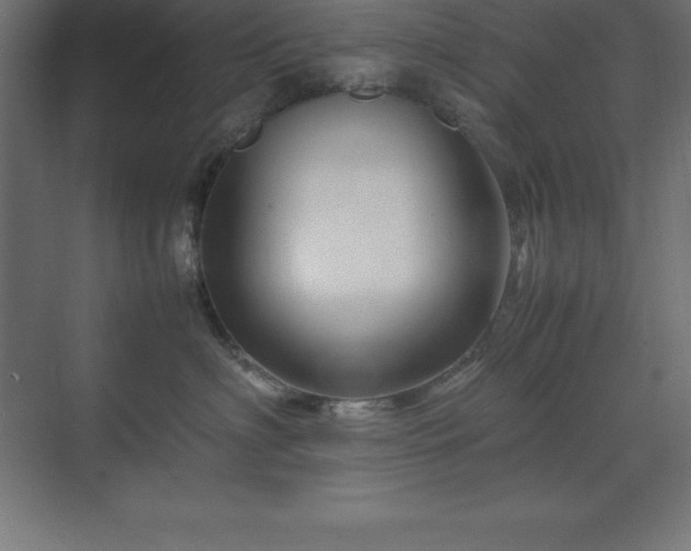 X0000070210622200606021257