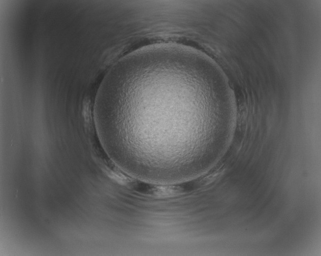 X0000070210623200606021257