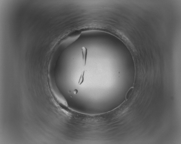 X0000070210625200606021256