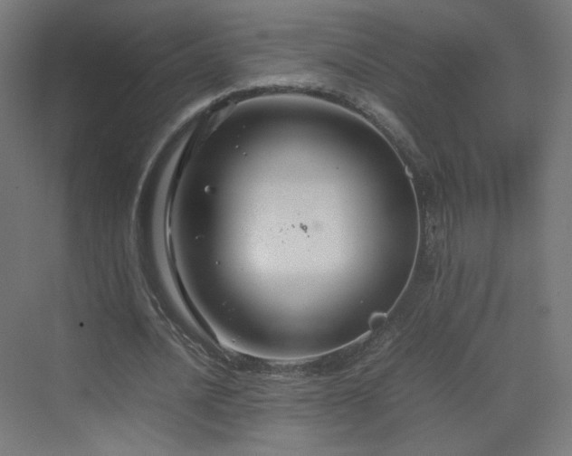 X0000070210628200606021256