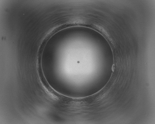 X0000070210629200606021256