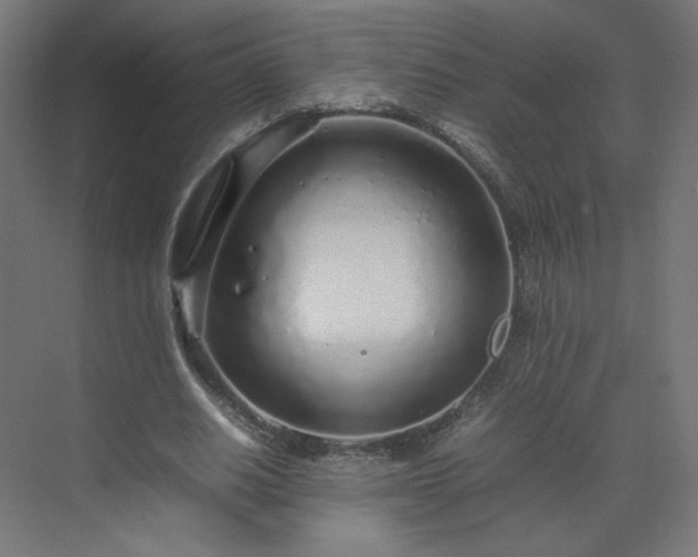 X0000070210630200606021256