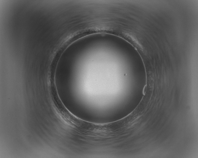 X0000070210631200606021256