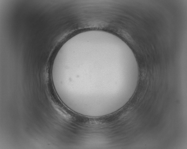 X0000070210632200606021256