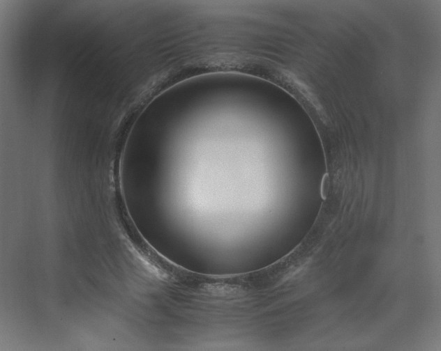 X0000070210633200606021256