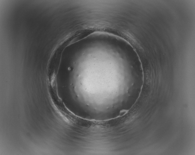 X0000070210634200606021256