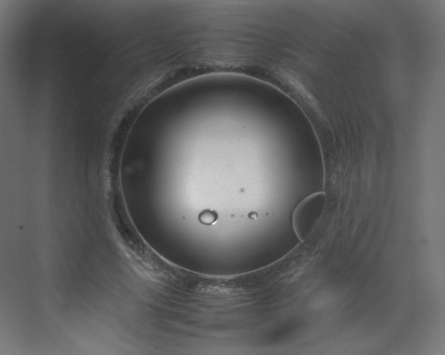 X0000070210635200606021256