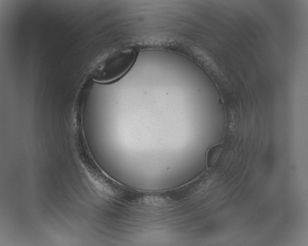 X0000070210636200606021256