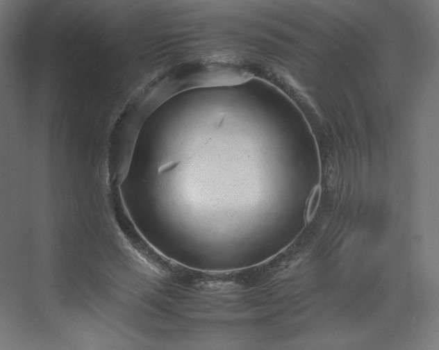 X0000070210637200606021256