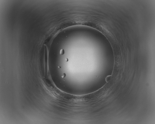 X0000070210639200606021256