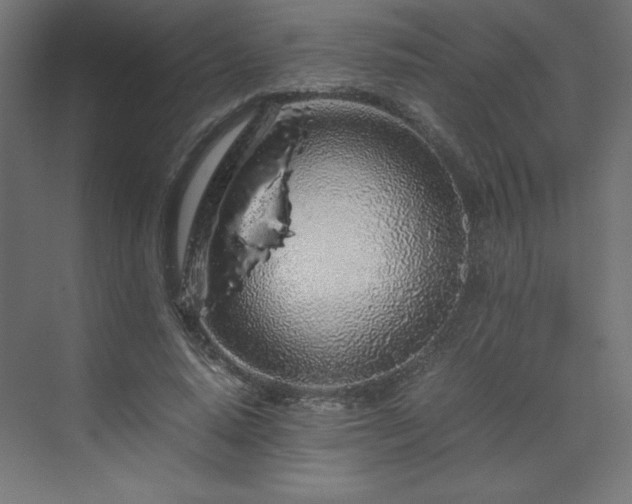 X0000070210640200606021256