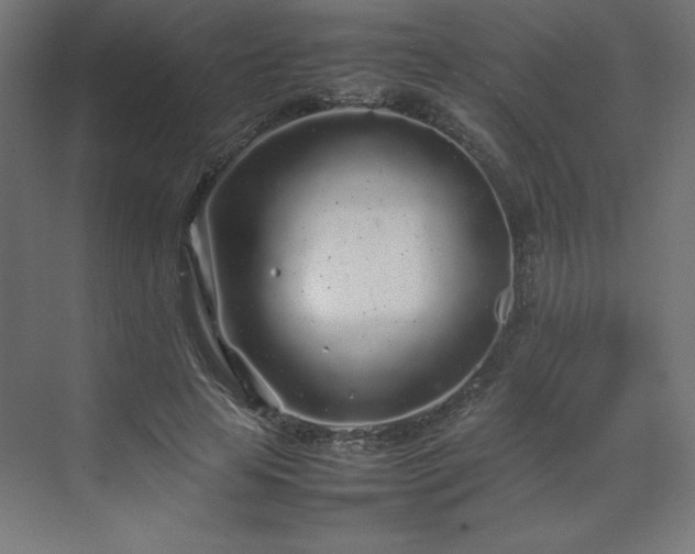 X0000070210641200606021256