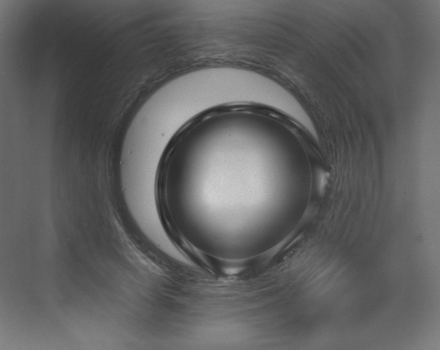 X0000070210642200606021256