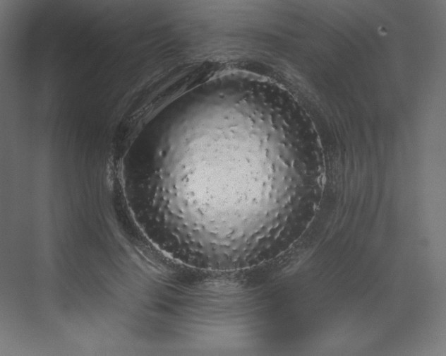 X0000070210644200606021256