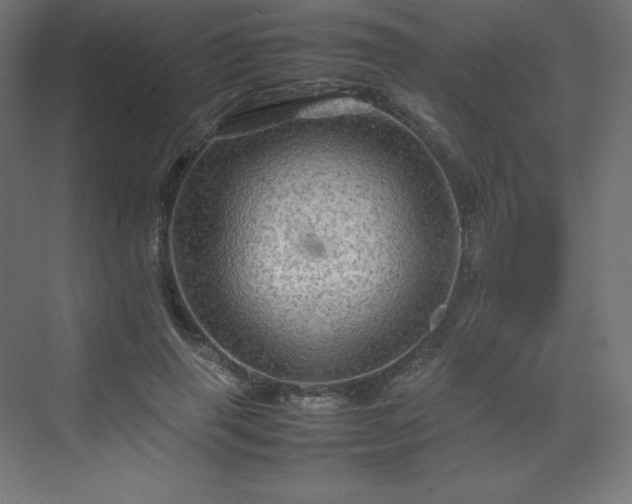 X0000070210645200606021256