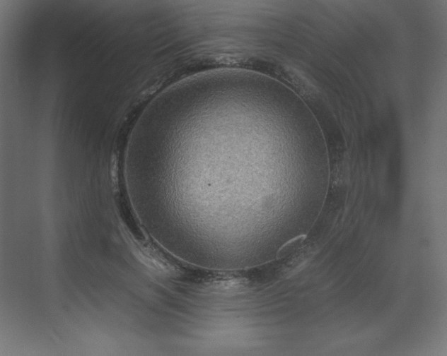 X0000070210646200606021256