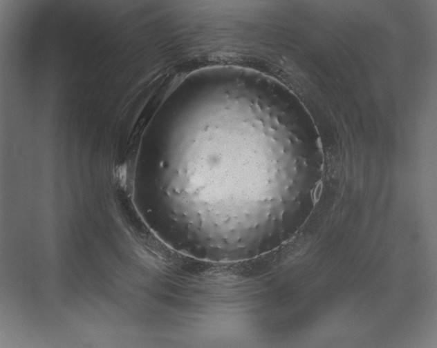 X0000070210648200606021256