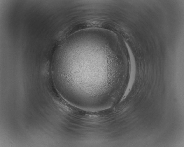 X0000070210649200606021256