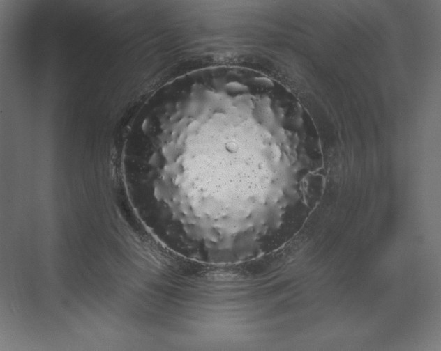 X0000070210650200606021256