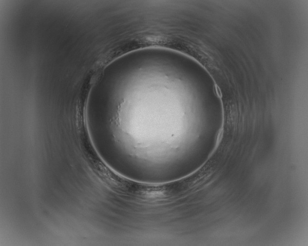 X0000070210651200606021256