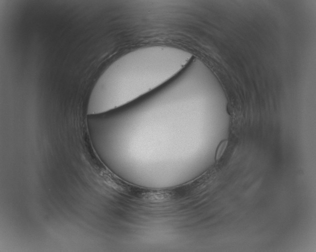 X0000070210652200606021256