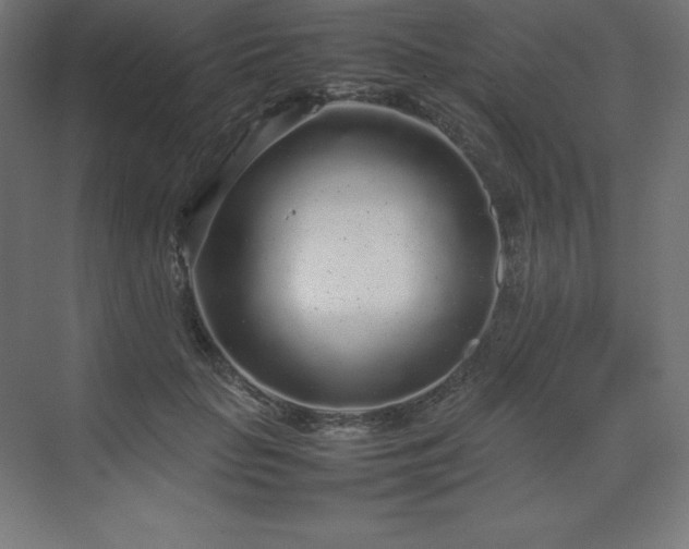 X0000070210653200606021256