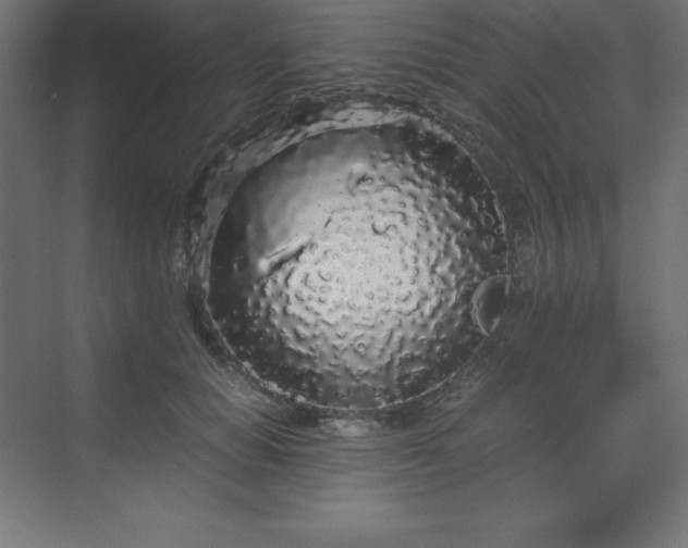 X0000070210654200606021256