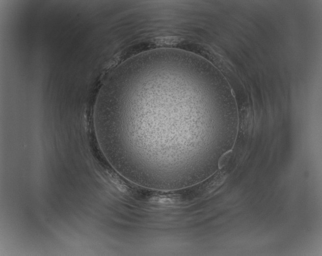 X0000070210655200606021256