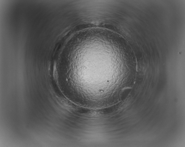 X0000070210656200606021256