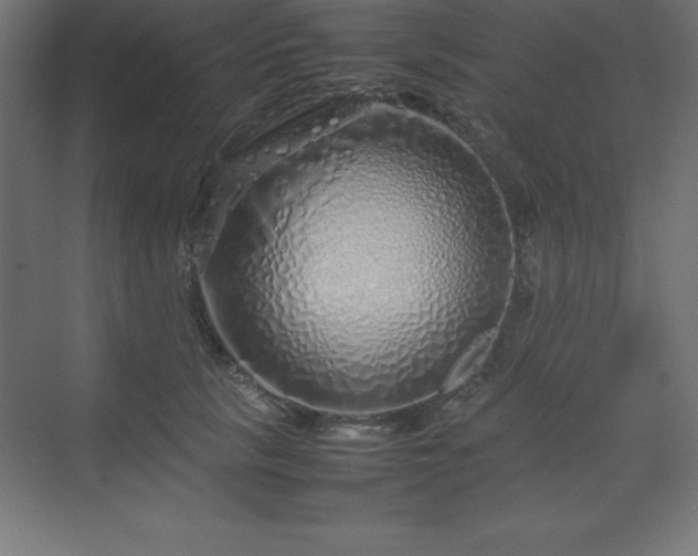 X0000070210657200606021256