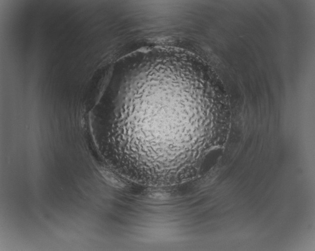 X0000070210658200606021256