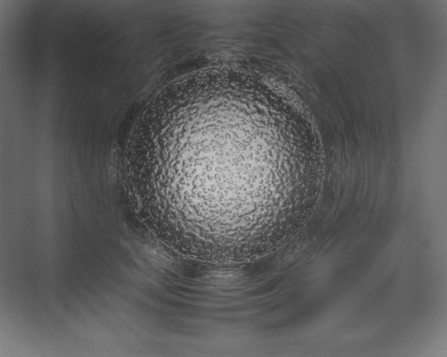 X0000070210659200606021256