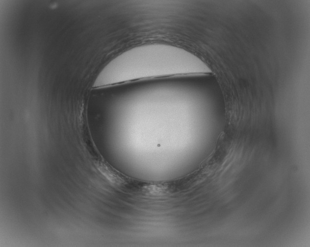 X0000070210660200606021256