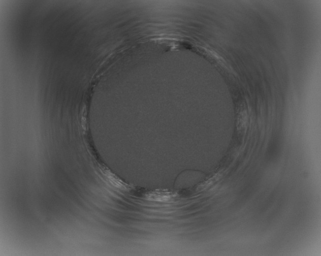 X0000070210661200606021256