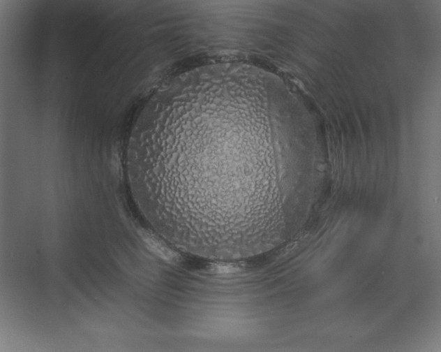 X0000070210662200606021256