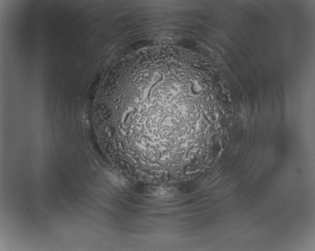 X0000070210663200606021256