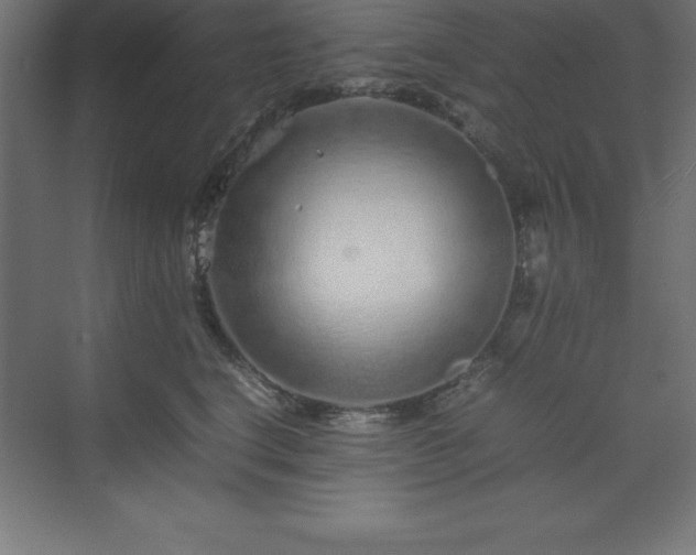 X0000070210664200606021256