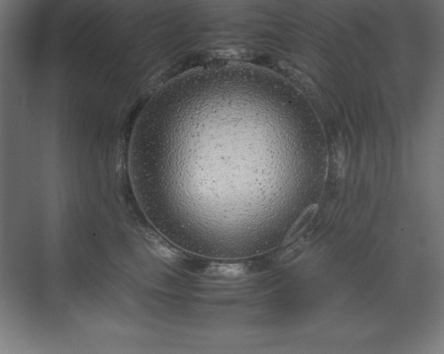 X0000070210665200606021256