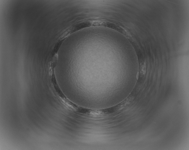 X0000070210666200606021256