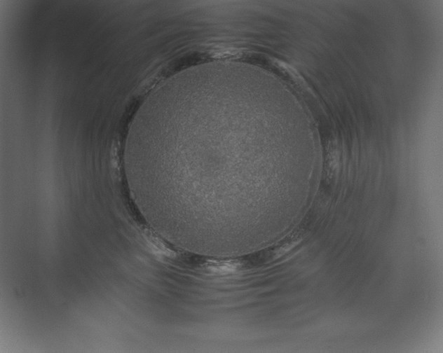 X0000070210667200606021256